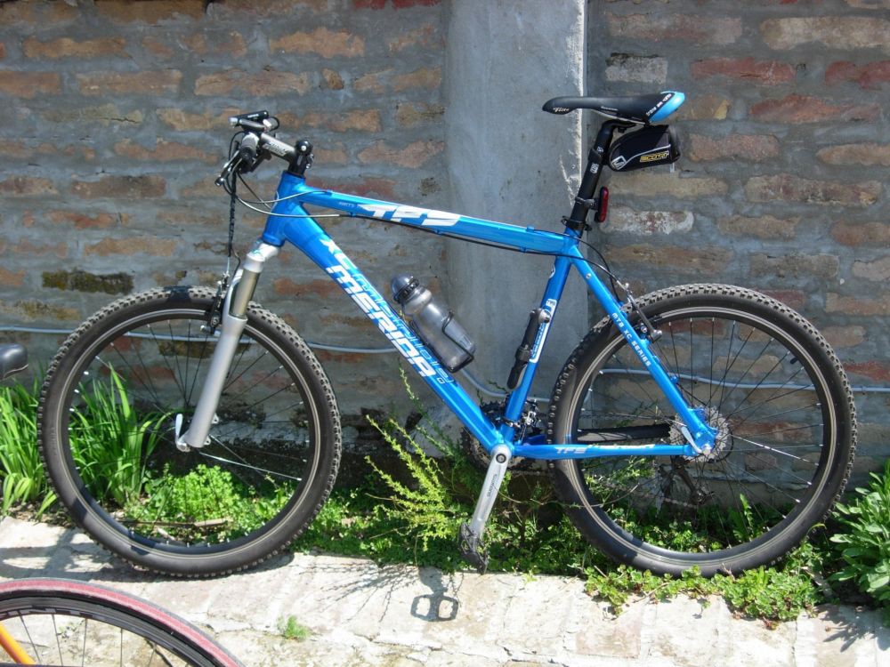 Moj ljubimac