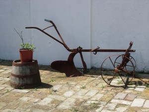 Zekin salaš - 14