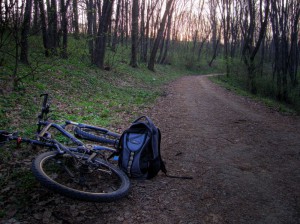 Kosutnjak april 2010