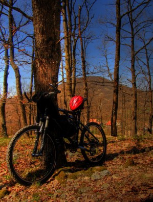 Mrcajevci april 2010 10