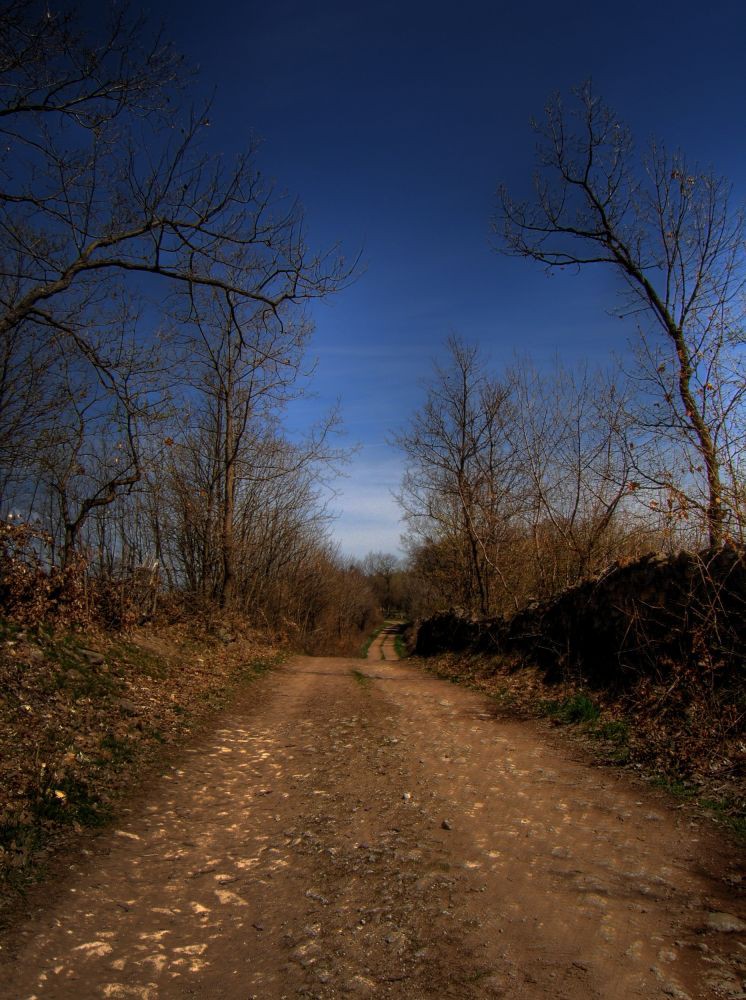 Mrcajevci april 2010 12