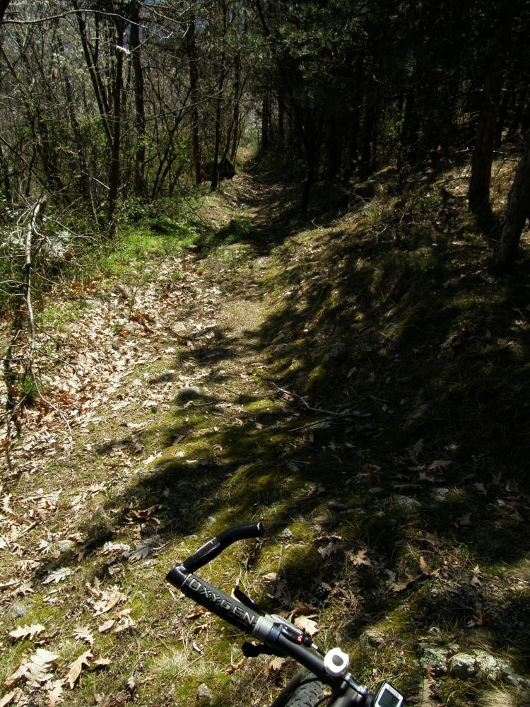 Mrcajevci april 2010 18