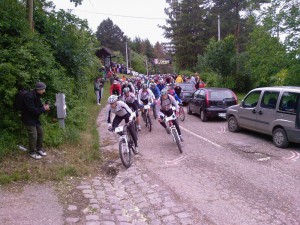 Slika-0031