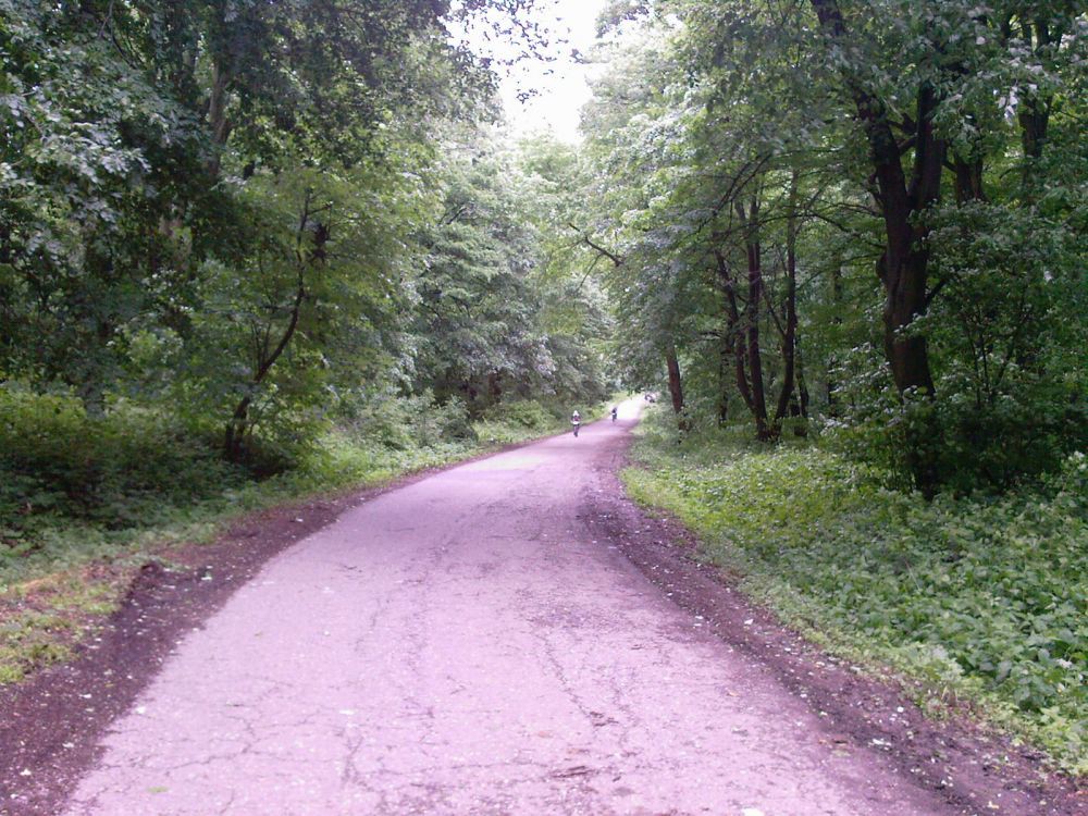 Slika-0060