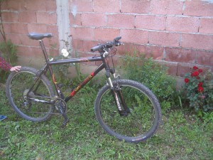 Slike 04 2010 015