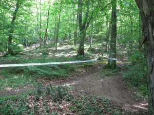 IMG_0080