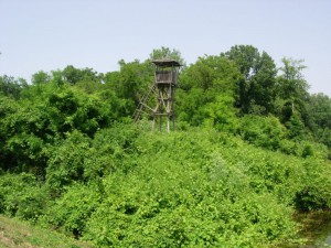 Obedska bara - 7