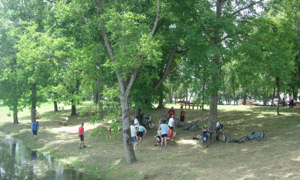 Obedska bara - 10