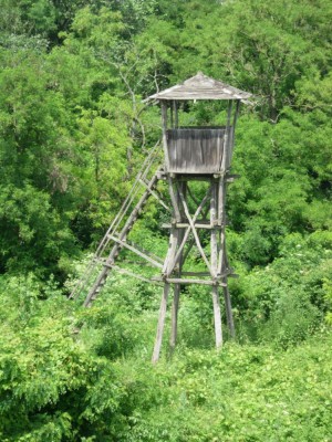 Obedska bara - 14