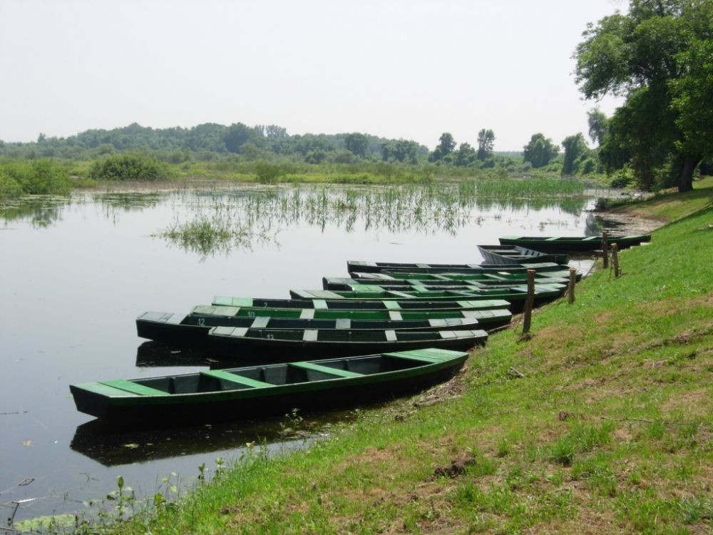 Obedska bara - 21