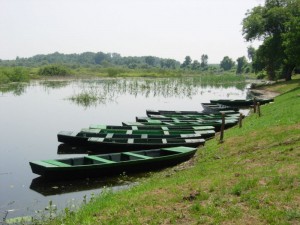 Obedska bara - 21