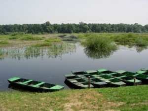 Obedska bara - 22