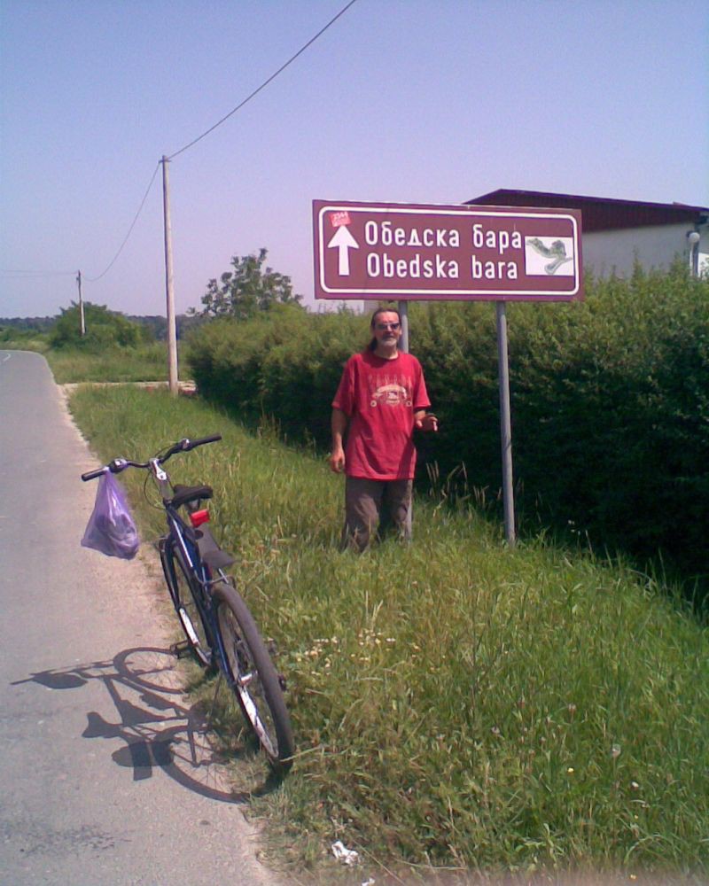 Obedska Bara 12