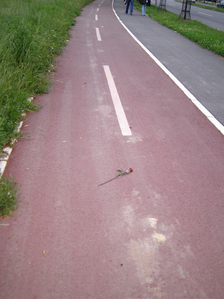 Picture 002
