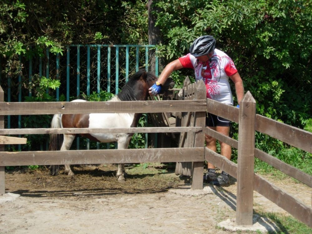Etno selo - 8
