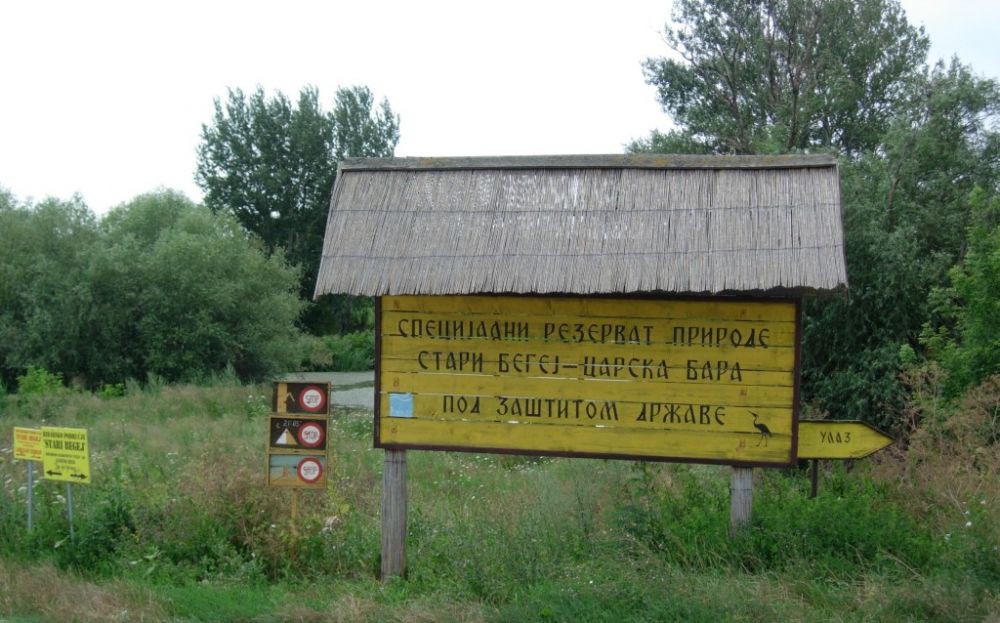 Carska bara