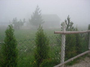 Ovo nije dom