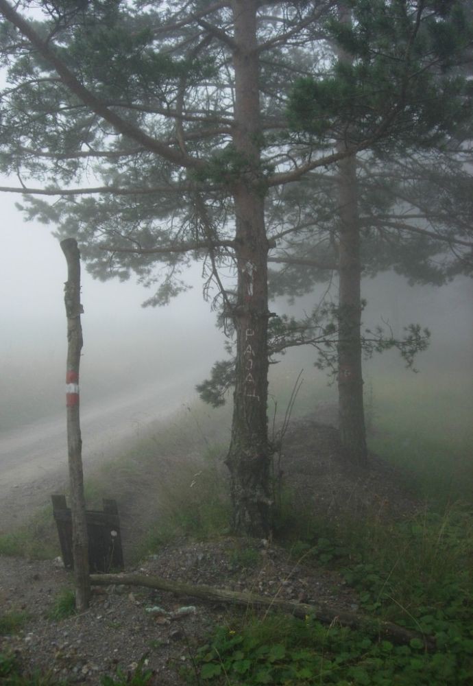 Ne zelimo na Rajac danas