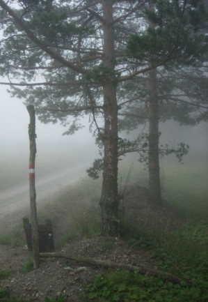 Ne zelimo na Rajac danas
