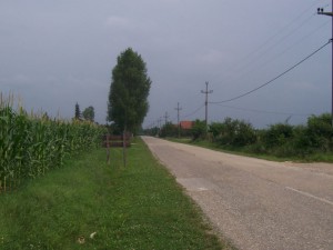100_1447