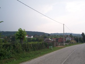 100_1461