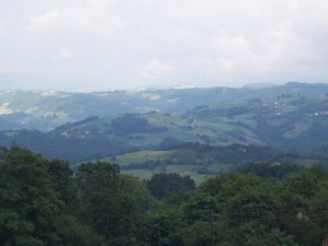 100_1515