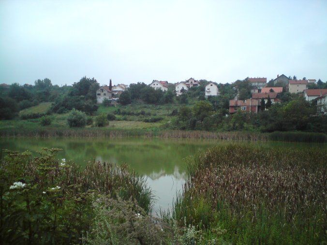 Rakina bara
