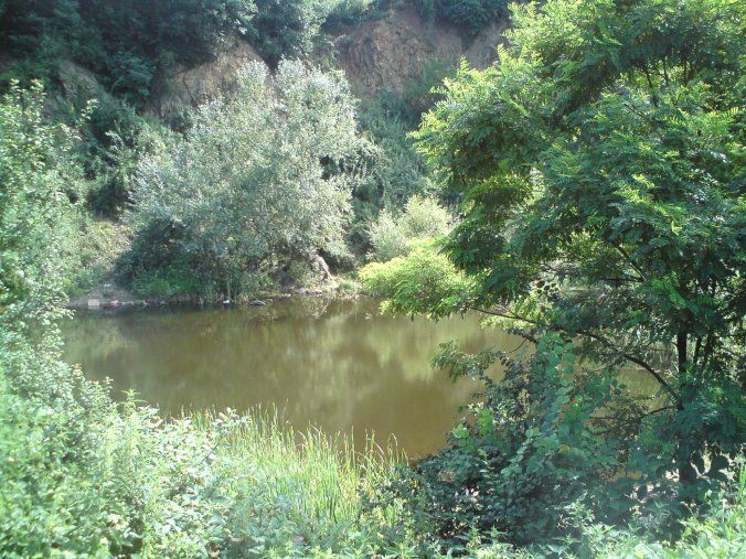 bara ispod Petrijinog brda