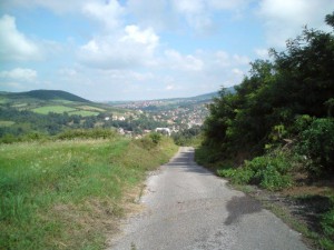 pogled sa Petrijinog brda