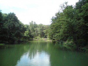 Jezero Tresnja