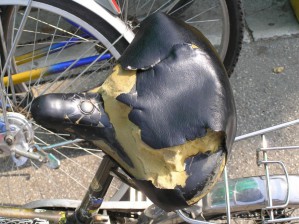 Sediste