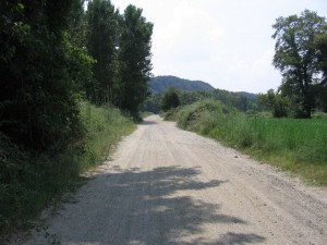 photo1