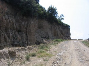 photo5