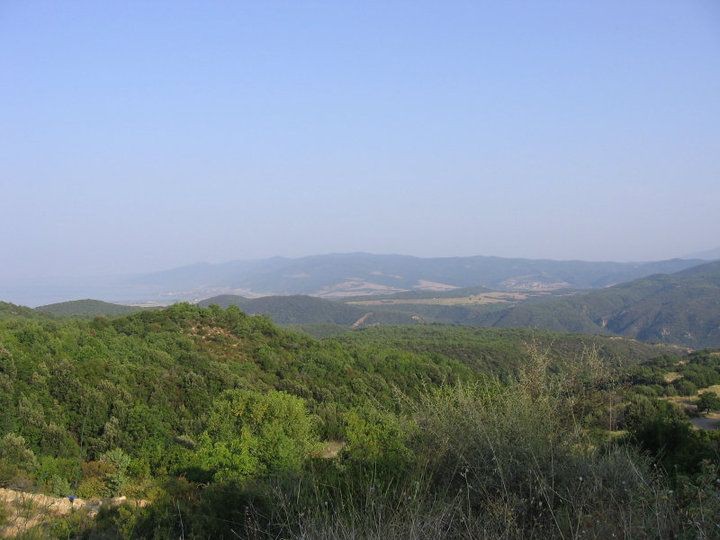photo11