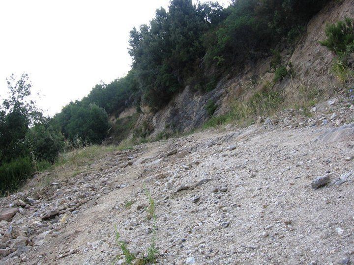 photo13
