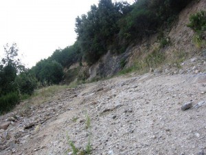 photo13