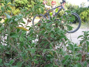 photo14