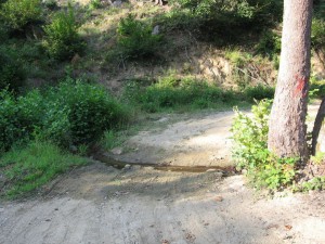 photo16