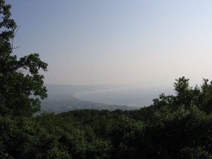 photo17