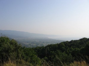 photo19