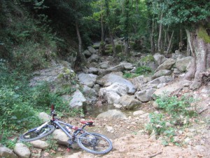 photo24