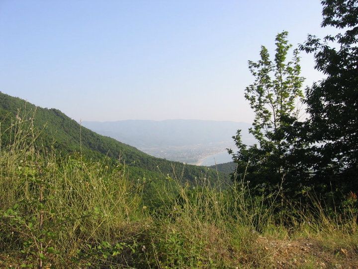 photo25