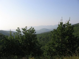 photo27