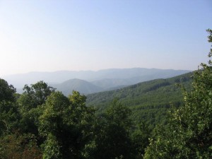 photo28