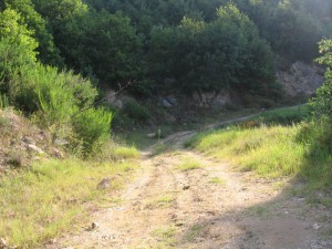 photo29