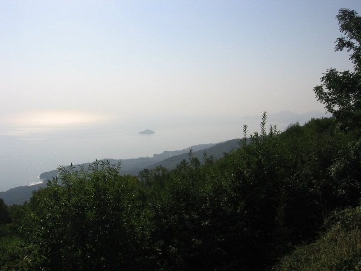 photo35
