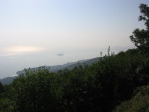 photo35