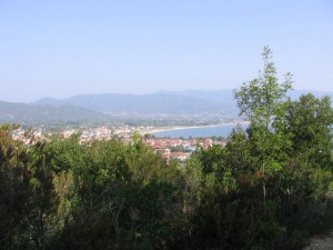 photo38