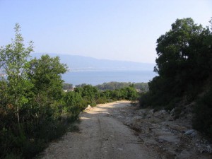 photo39
