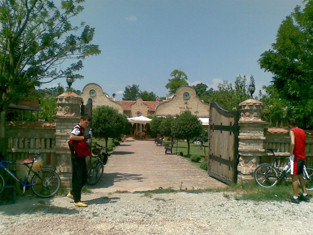 Slika(1210)